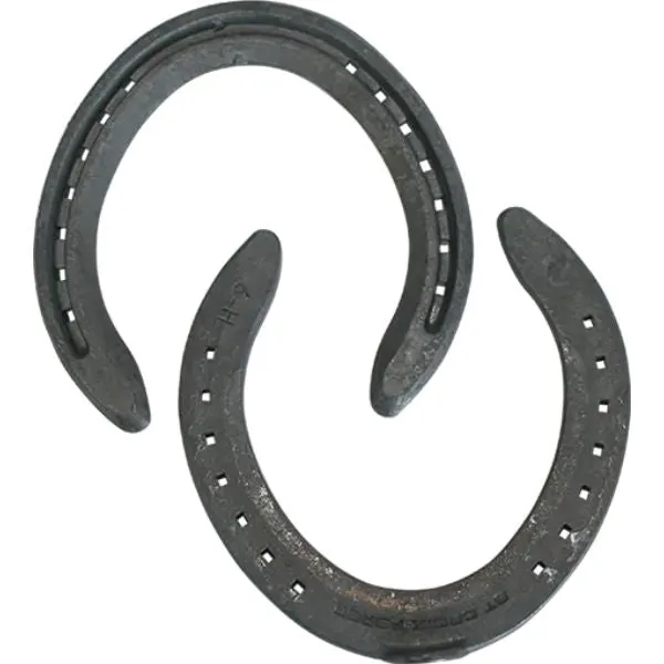 Concorde Steel Toe Clip Hind Steel Horse Shoes