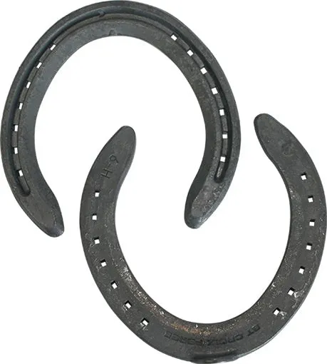 Concorde Steel Toe Clip Hind Steel Horse Shoes