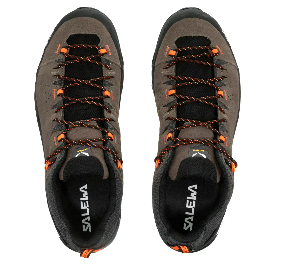 MEN'S ALP TRAINER 2 GTX - BROWN/BUNGEE CORD/BLACK