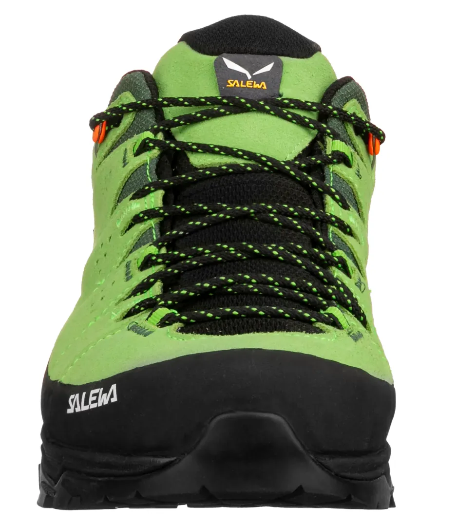 MEN'S ALP TRAINER 2 GTX - BROWN/BUNGEE CORD/BLACK