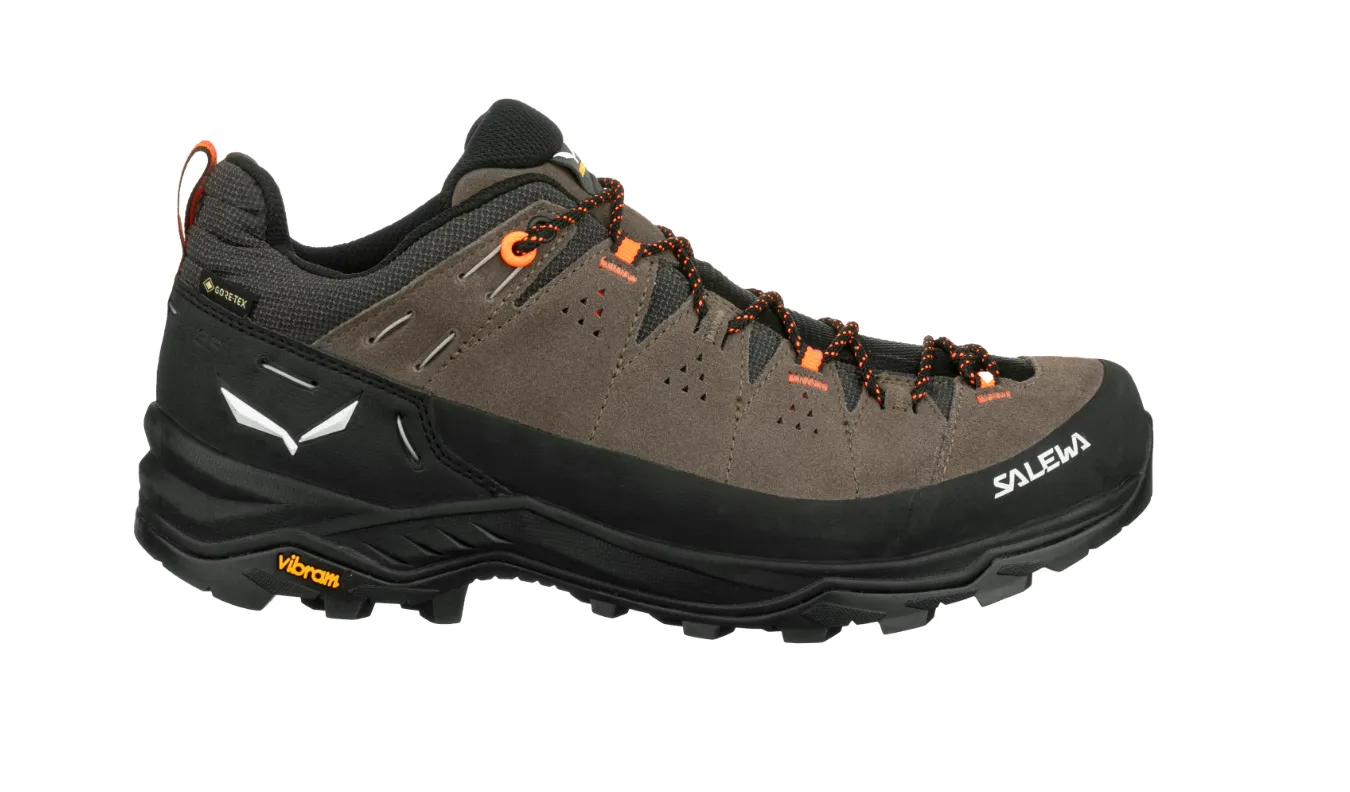 MEN'S ALP TRAINER 2 GTX - BROWN/BUNGEE CORD/BLACK